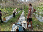 Bhabinkamtibmas Bangsal Aceh Bersama Petani Cek Pekarangan Pangan Bergizi untuk Dukung Ketahanan Pan