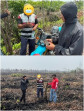 Pemilik Lahan Jadi Tersangka Gegara Bakar Lahan dan Beraktivitas di Kawasan Hutan Tanpa Izin