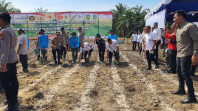 Mendukung Program Nasional, Kapolres Bengkalis Dampingi Kapolda Riau Tanam Jagung