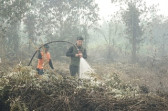 Camat Mandau Turun Langsung Tinjau Karhutla di Tegar dan Pastikan Api Benar Sudah Padam