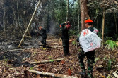 Tim Kopasgat Kembali Diterjunkan ke Lokasi Karhutla di Pelalawan