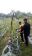 Bhabinkamtibmas Bagan Besar Timur Bersama Petani Cek Pekarangan Pangan Bergizi Dukung Ketahanan Pang