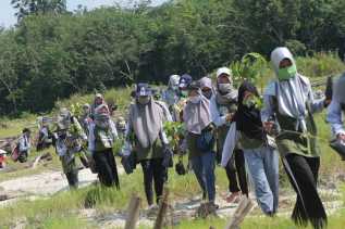 Ekowisata Manggrove Sungai Rawa- Siak Wujud Kelestarian Kawasan Pesisir
