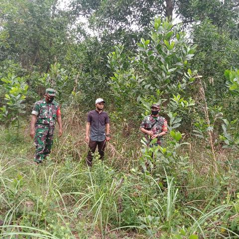 Antisipasi Karhutla, TNI Koramil 03/Mandau Monitoring Pencegahan Karhutla Daerah Binaannya
