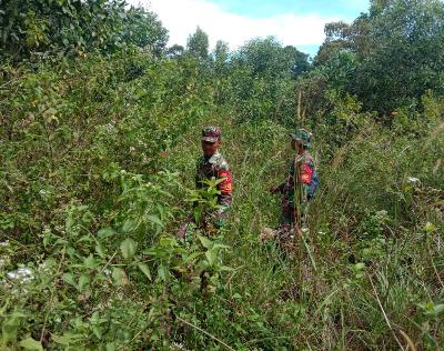 Cuaca Mendung Tak Surutkan Babinsa Mandau Sisir Lahan dan Hutan Untuk Mengurai Api
