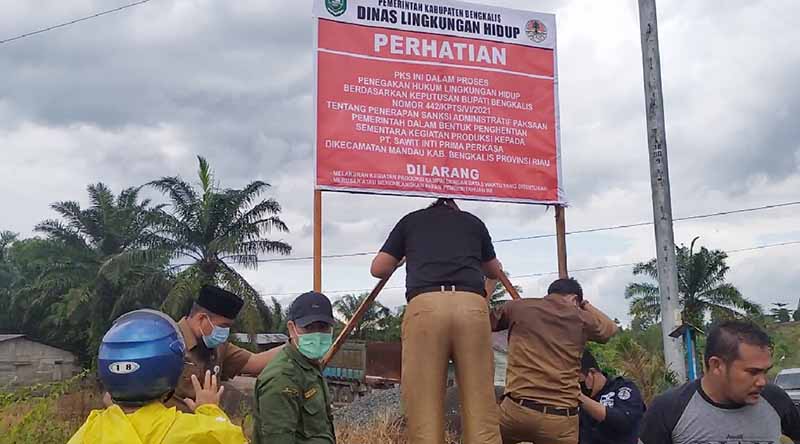 Akhirnya,,,Pemkab Cabut Izin Usaha dan Izin Lingkungan PT SIPP