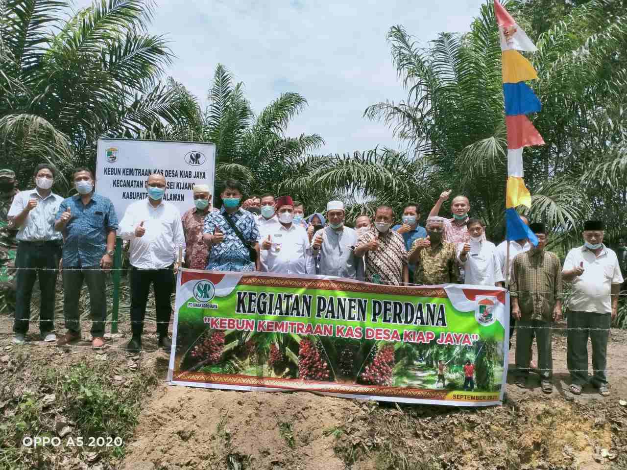 PANEN PERDANA KEBUN KEMITRAAN KAS DESA KIYAB JAYA,  WABUP & KETUA DPRD PELALAWAN BERIKAN APRESIASI  