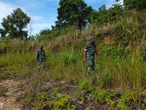 Meminalisir Terjadinya Karhutla, Babinsa Telusuri Lahan dan Hutan di Wilayah Binaannya