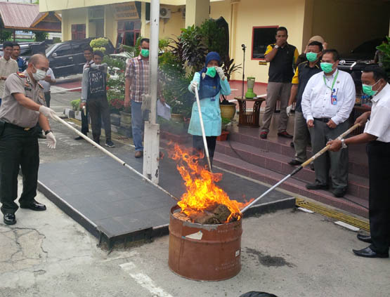 Kapolresta, Kejari, dan BNN Musnahkan 22 Kilogram Ganja Beserta 800 Gram Sabu-sabu