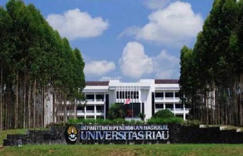 Tim Kukerta UNRI di Sungai Pakning Taja Diskusi Online Tentang Adaptasi Di Era New Normal