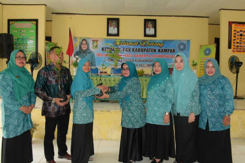 Padukan Program PKK dan program Desa