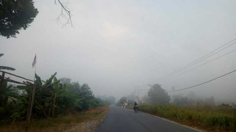Kabut Asap Tebal Mulai Melanda Kota Duri, Ancam Pernapasan Dan Penglihatan