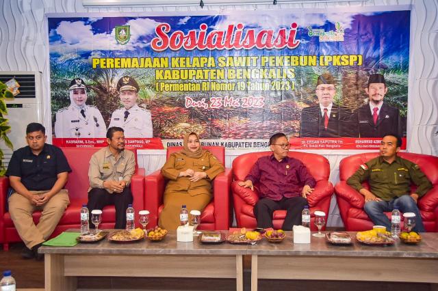 Sosialisasi PKSP, Bupati Kasmarni Harap Produktivitas Meningkat