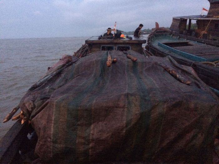 Ditpolair Polda Riau Gagalkan Penyelundupan Kayu ke Malaysia