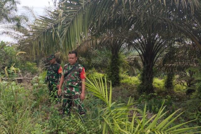 Walau Cuaca Tak Menentu, Tim Satgas Babinsa Mandau Tetap Siaga Karhutla