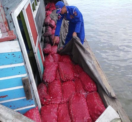 Bawa 35 Ton Bawang Selundupan, KM Trio Sari Diamankan Polair Bengkalis