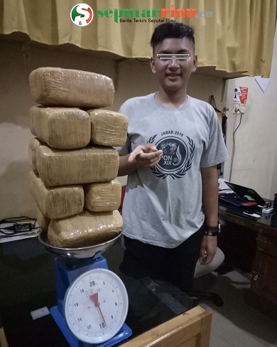 Polres Dumai Bekuk Pelaku Barkotika 9 Kg Daun Ganja Berhasil Di Amankan