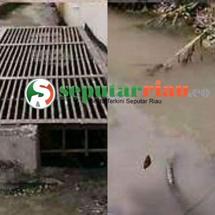 Terkait Keluhan Warga, BLH Siak Minta PT HABI Keruk Saluran Air ke Drainase