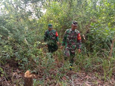 Guna Pencegahan Karhutla,,Babinsa Koramil 03/Mandau Telusuri Kebakaran Hutan dan Lahan