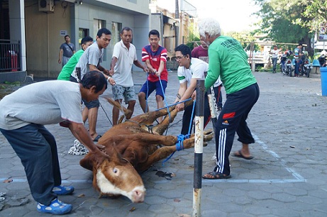 Sambut Idul Adha dengan Berkurban