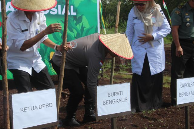 Rangka Dukung Swasembada Pangan 2025, Polres Bengkalis Taja Penanaman Jagung Serentak Quartal III