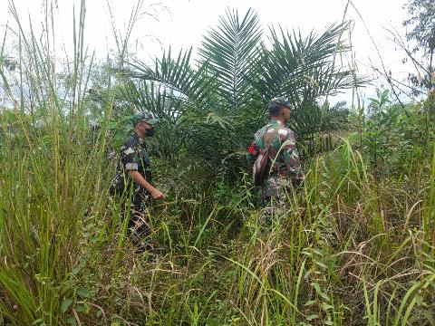 Guna Hindari Karhutla, Babinsa Koramil 03/Mandau Telusuri Semak Belukar
