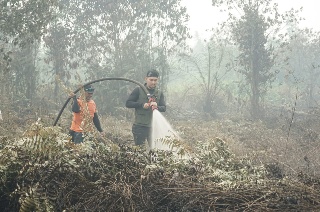 Camat Mandau Turun Langsung Tinjau Karhutla di Tegar dan Pastikan Api Benar Sudah Padam