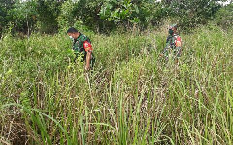 TNI Koramil 03/Mandau,Telusuri Semak Belukar Guna Pencegahan Karhutla Diwilayah Binaanya