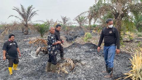 Lakukan Pembakaran Lahan dan Hutan Pria Paruh Baya Diamankan Satreskrim Polres Bengkalis