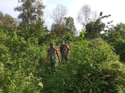 Babinsa Koramil 03/Mandau Lakukan Penyisiran di Semak Belukar Guna Antisipasi Karhutla