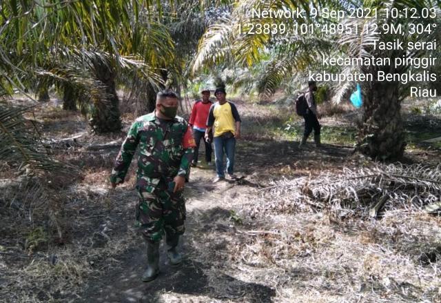 TNI Koramil 04/Mandau Monitoring Karhutla di Desa Tasik Serai