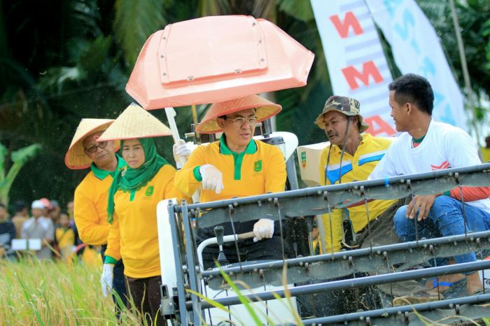 Bupati Bertekad Kembalikan Inhil Sebagai Lumbung Beras di Provinsi Riau