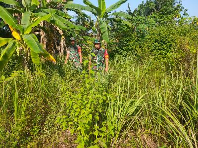 Koramil 03/Mandau Telusuri Semak Belukar Guna Tangani Karhutla