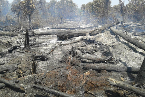 Hore..! Pagi Ini Hotspot Di Riau Nihil