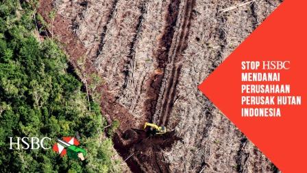 Terungkap: HSBC mendanai kerusakan hutan