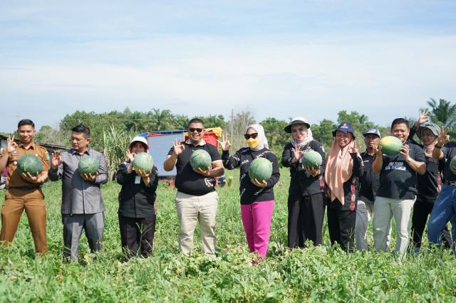 KTAM Air Jamban Panen Raya Semangka Bersama Pemcam Mandau