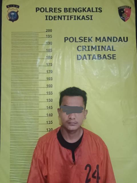Polisi Mandau Ciduk Spesialis Pencuri Sepeda Motor