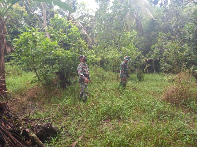 Antisipasi Karhutla,,Babinsa Telusuri semak Belukar Rawan Api