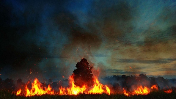 Hot Spot Ditemukan di Riau