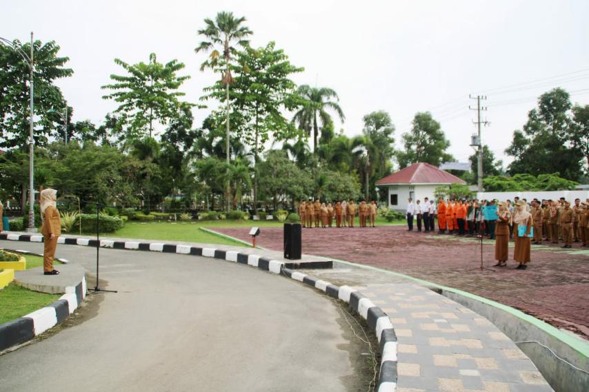 Pemkab Labuhanbatu Tekan Laju Pertumbuhan Penduduk Melalui KKBPK