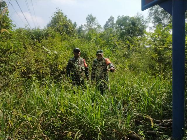 Babinsa Koramil 03/Mandau Lakukan Penelusuran Karhutla dititik Rawan Api