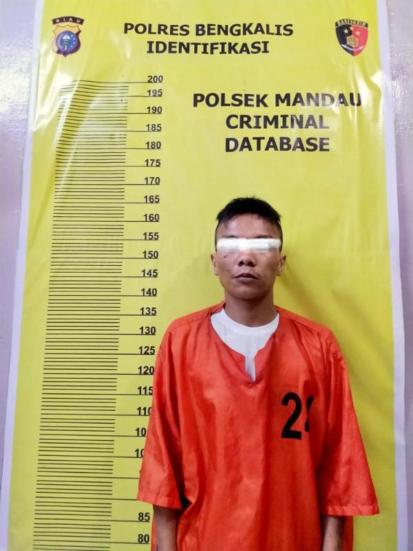 Akibat Mabuk Tuak Ibu Kandung Diancam Pakai Sajam Tampa Sebab