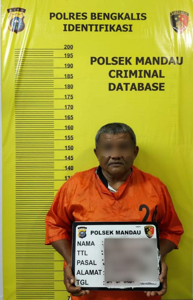 Akibat Bandar Judi Togel Pria Tua di Pertanian Diciduk Polisi