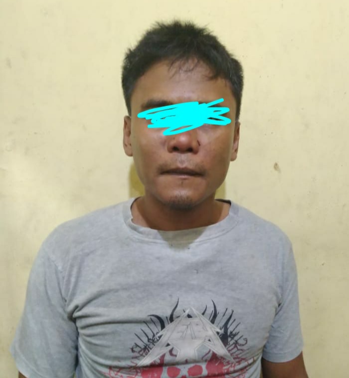 Pemilik Daun Ganja Kering Di polisikan