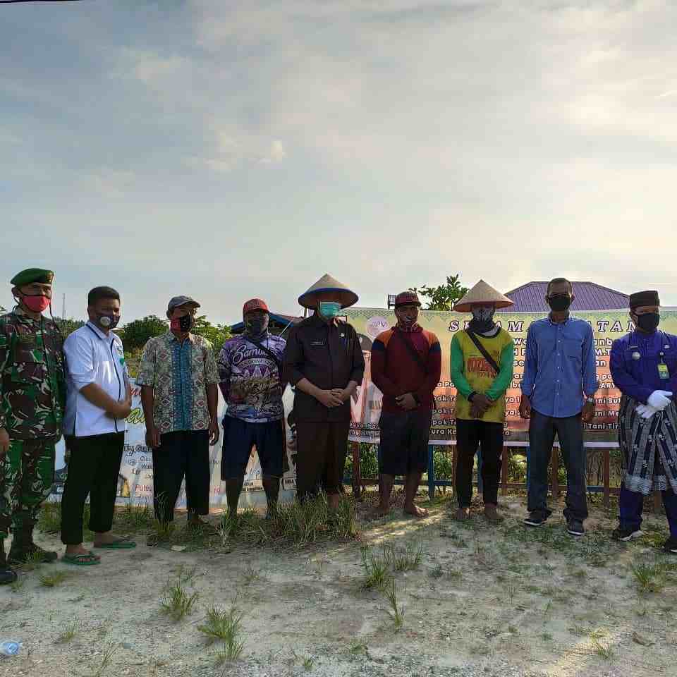 Kontrak Farming Penanaman Padi Seluas 300 Hektar PT. SPM bersama UPJA BINAKARYA