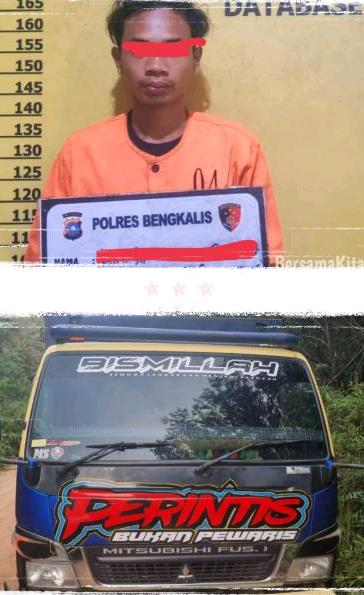 Satreskrim Polres Bengkalis Berhasil Amankan Pelaku Ilegal Logging di Desa Tanjung Leban