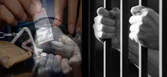 Polres Meranti Kembali Ringkus Residivis Narkoba