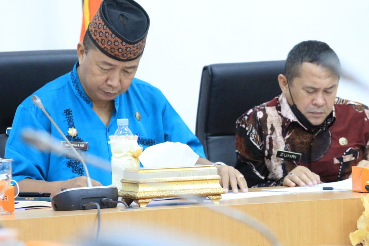 BUMD Diharapkan Berperan  dalam Melaksanakan Pembangunan Daerah dan Pembangunan Ekonomi Nasional