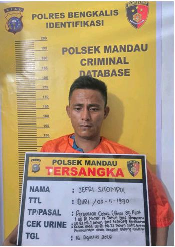 Tidak Puas Puasnya, Residivis Cabuli Anak Dibawah Umur Kembali Diciduk Polisi