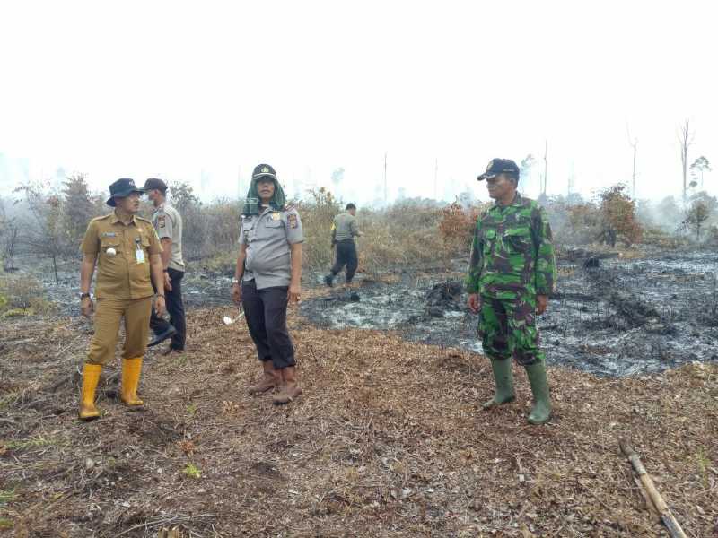 Kebakaran 5 Ha Lahan Gambut Kampung Penyengat Berhasil Dipadamkan